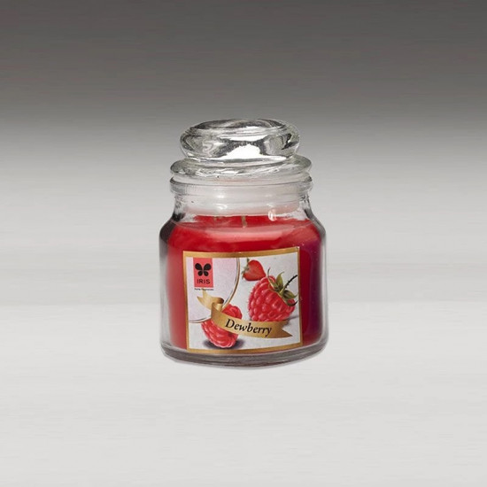 JAR CANDLE - DEWBERRY