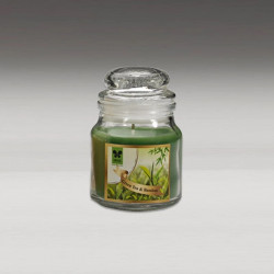 JAR CANDLE - GREEN TEA AND BAMBOO